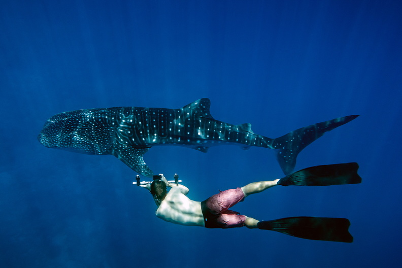 Explore the Best of Sustainable LUXURY at LUX South Ari Atoll, Maldives-Image 1