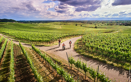 Embrace Green Getaways and Explore Germany's Sustainable Destinations-Image 1