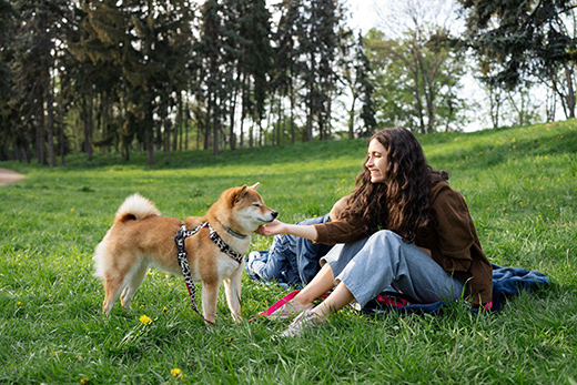 Pets on Tour Five Purr-fect Vacations for Your Four-Legged Friends-Image 1