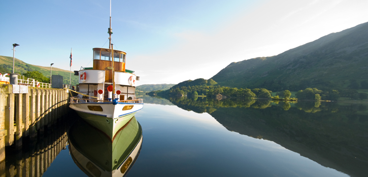 Pets on Tour Five Purr-fect Vacations for Your Four-Legged Friends-Image 2